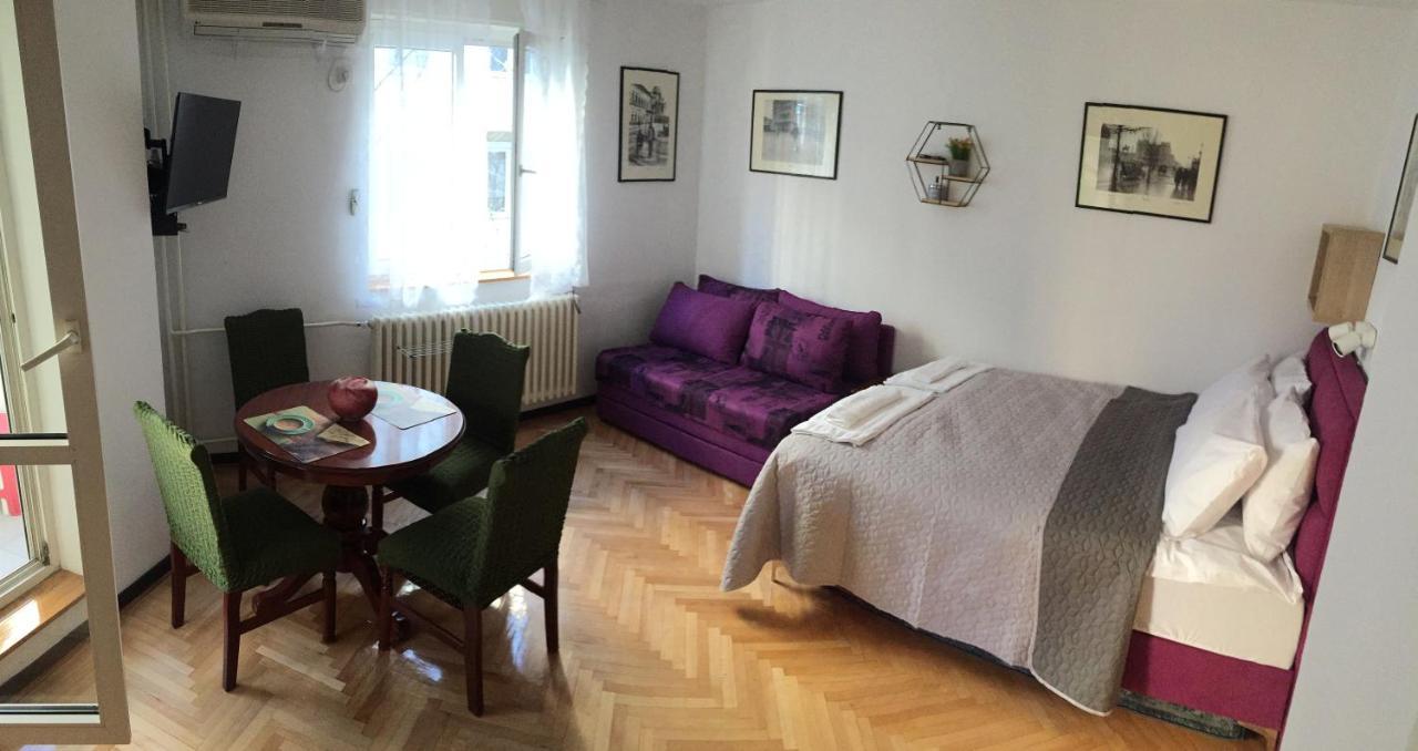 Apartment Andjela Dorcol Belgrad Dış mekan fotoğraf