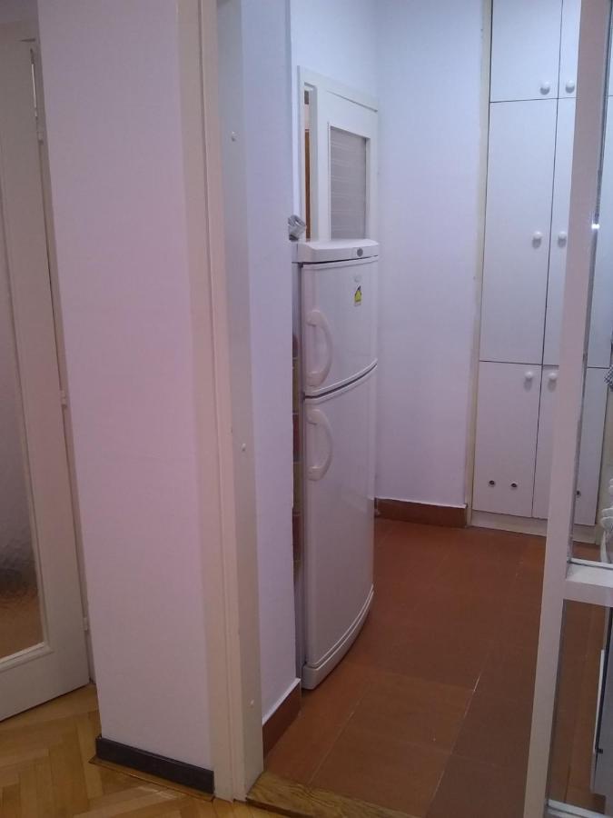 Apartment Andjela Dorcol Belgrad Dış mekan fotoğraf