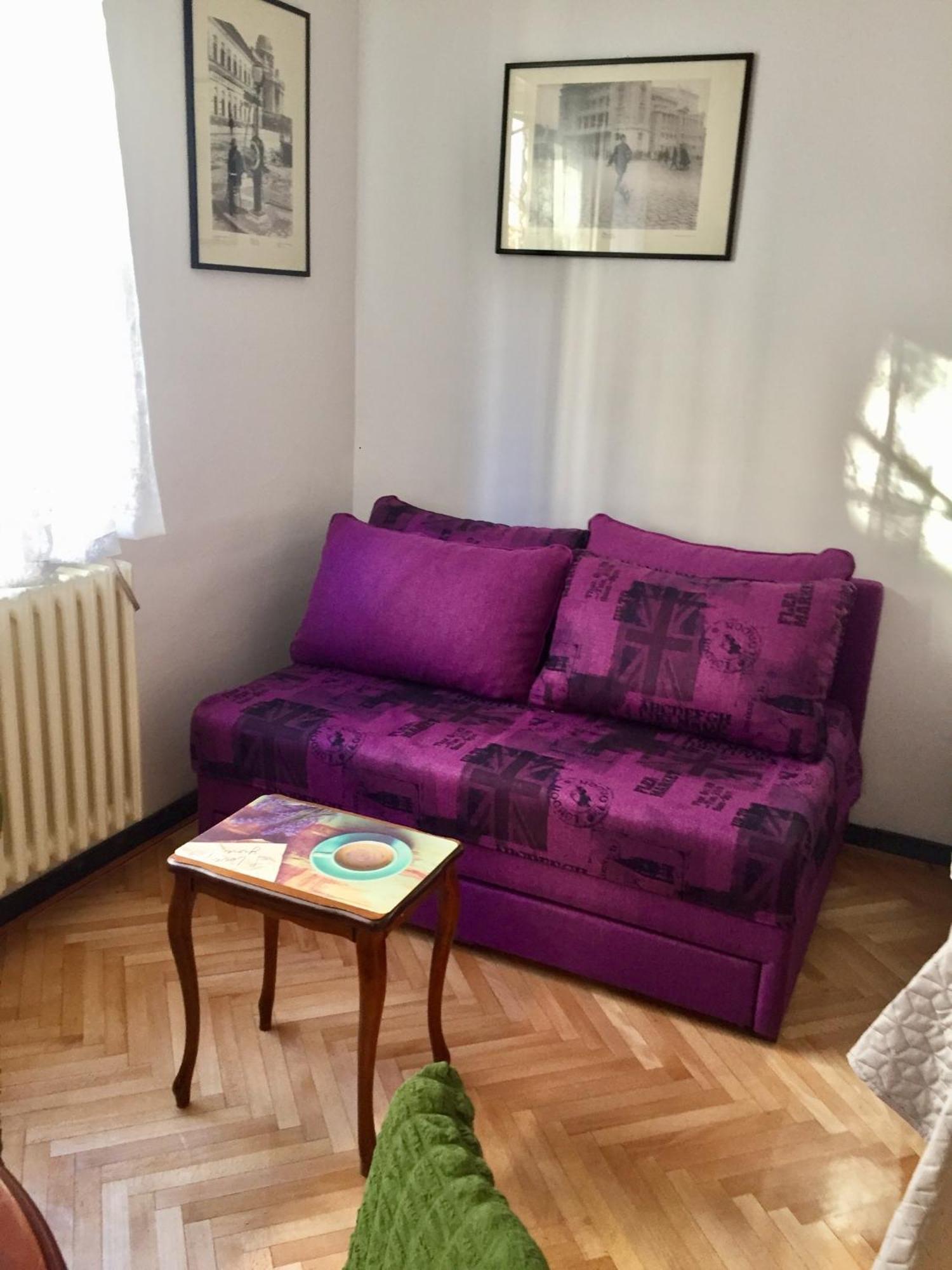 Apartment Andjela Dorcol Belgrad Dış mekan fotoğraf